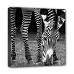 Zebra Mini Canvas 8  x 8  (Stretched)