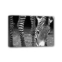 Mini Canvas 6  x 4  (Stretched) 