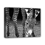 Zebra Canvas 10  x 8  (Stretched)