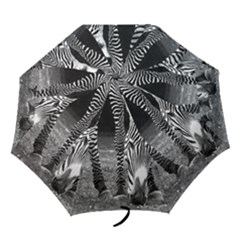 Folding Umbrella 