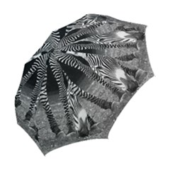 Folding Umbrella 