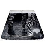Zebra Fitted Sheet (Queen Size)