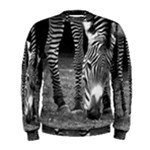 Zebra Men s Sweatshirt