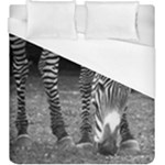 Zebra Duvet Cover (King Size)