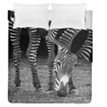 Zebra Duvet Cover Double Side (Queen Size)