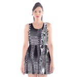 Zebra Scoop Neck Skater Dress
