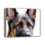 German Shepherd Dog Deluxe Canvas 14  x 11  (Stretched)