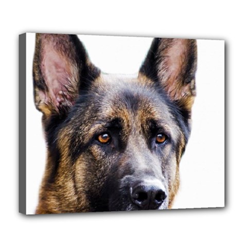 German Shepherd Dog Deluxe Canvas 24  x 20  (Stretched) from ArtsNow.com