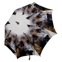 Hook Handle Umbrella (Large) 