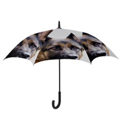 Hook Handle Umbrella (Large) 