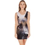 German Shepherd Dog Bodycon Dress