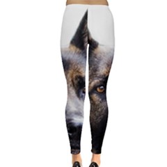 Everyday Leggings  Back