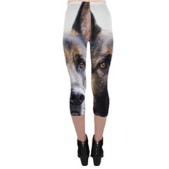 Capri Leggings  Back