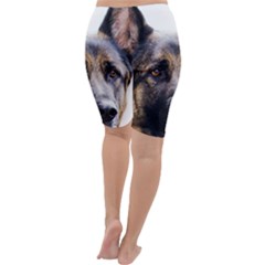 Cropped Leggings Back Cropped Leggings Back