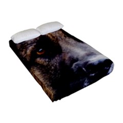 Fitted Sheet (Full/ Double Size) 