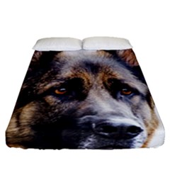 Fitted Sheet (Queen Size) 