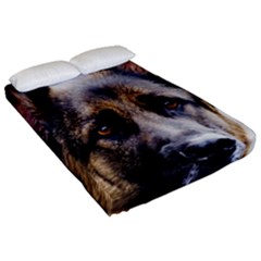 Fitted Sheet (Queen Size) 