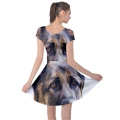 Cap Sleeve Dress 