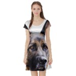 German Shepherd Dog Short Sleeve Skater Dress