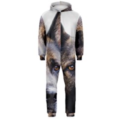 Hooded Jumpsuit (Men) 