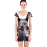 German Shepherd Dog Short Sleeve Bodycon Dress