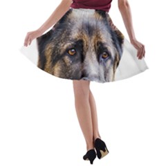 A-line Skater Skirt 