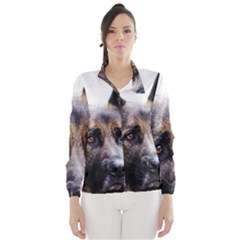 Women s Windbreaker 