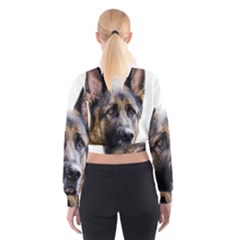 Cropped Sweatshirt 