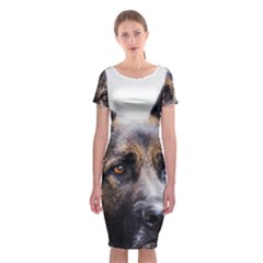 Classic Short Sleeve Midi Dress Front Classic Short Sleeve Midi Dress Front