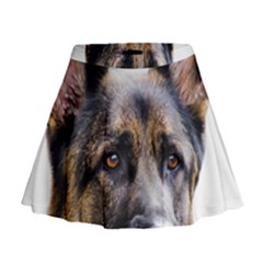 Mini Flare Skirt 