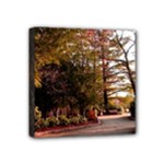 Leo Harrison St Pk  Path 2 Mini Canvas 4  x 4  (Stretched)