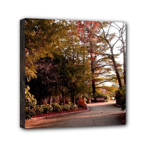 Leo Harrison St Pk  Path 2 Mini Canvas 6  x 6  (Stretched) from ArtsNow.com