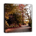 Leo Harrison St Pk  Path 2 Mini Canvas 8  x 8  (Stretched)