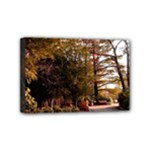 Leo Harrison St Pk  Path 2 Mini Canvas 6  x 4  (Stretched)