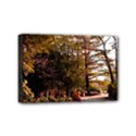 Mini Canvas 6  x 4  (Stretched) 