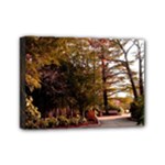 Leo Harrison St Pk  Path 2 Mini Canvas 7  x 5  (Stretched)