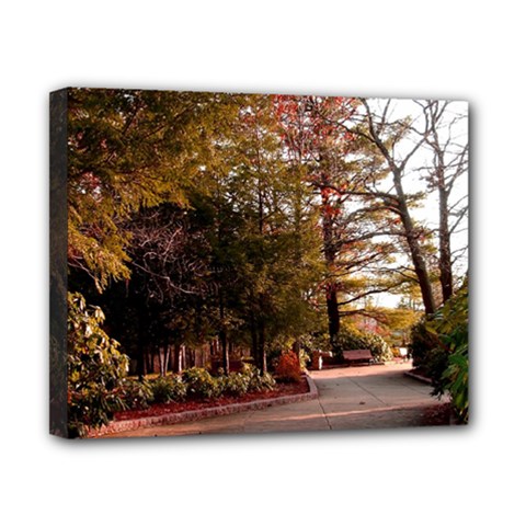 Leo Harrison St Pk  Path 2 Canvas 10  x 8  (Stretched) from ArtsNow.com