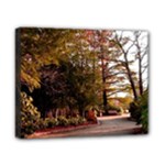 Leo Harrison St Pk  Path 2 Canvas 10  x 8  (Stretched)