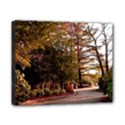 Canvas 10  x 8  (Stretched) 