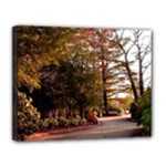 Leo Harrison St Pk  Path 2 Canvas 14  x 11  (Stretched)