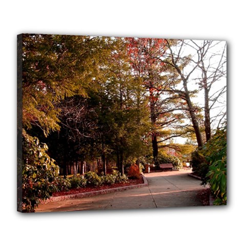 Leo Harrison St Pk  Path 2 Canvas 20  x 16  (Stretched) from ArtsNow.com