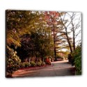 Canvas 24  x 20  (Stretched) 