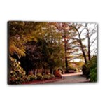 Leo Harrison St Pk  Path 2 Canvas 18  x 12  (Stretched)
