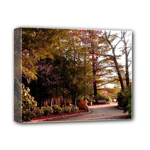 Leo Harrison St Pk  Path 2 Deluxe Canvas 14  x 11  (Stretched) from ArtsNow.com