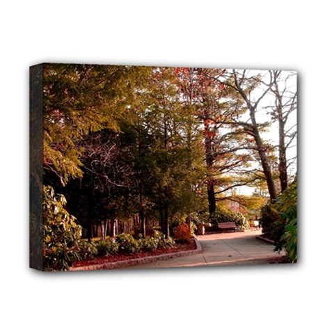 Leo Harrison St Pk  Path 2 Deluxe Canvas 16  x 12  (Stretched)  from ArtsNow.com