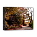 Leo Harrison St Pk  Path 2 Deluxe Canvas 16  x 12  (Stretched) 