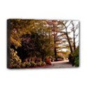 Deluxe Canvas 18  x 12  (Stretched) 