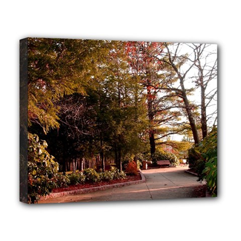 Leo Harrison St Pk  Path 2 Deluxe Canvas 20  x 16  (Stretched) from ArtsNow.com