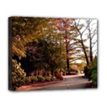 Leo Harrison St Pk  Path 2 Deluxe Canvas 20  x 16  (Stretched)
