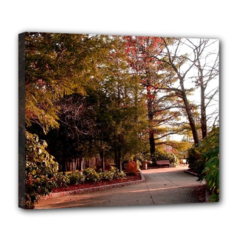 Leo Harrison St Pk  Path 2 Deluxe Canvas 24  x 20  (Stretched) from ArtsNow.com